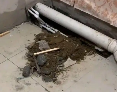 高港卫生间漏水检测哪家好